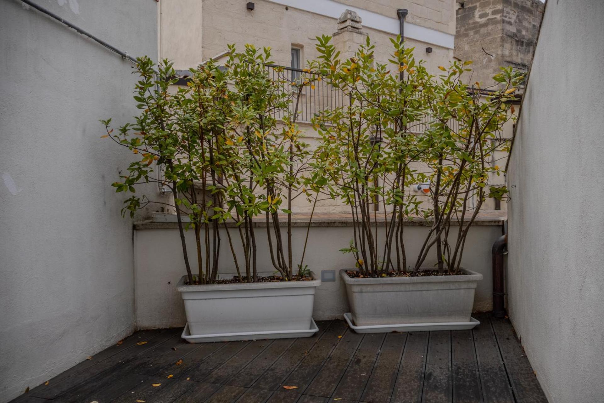 알타무라 Casa Felda B&B 외부 사진